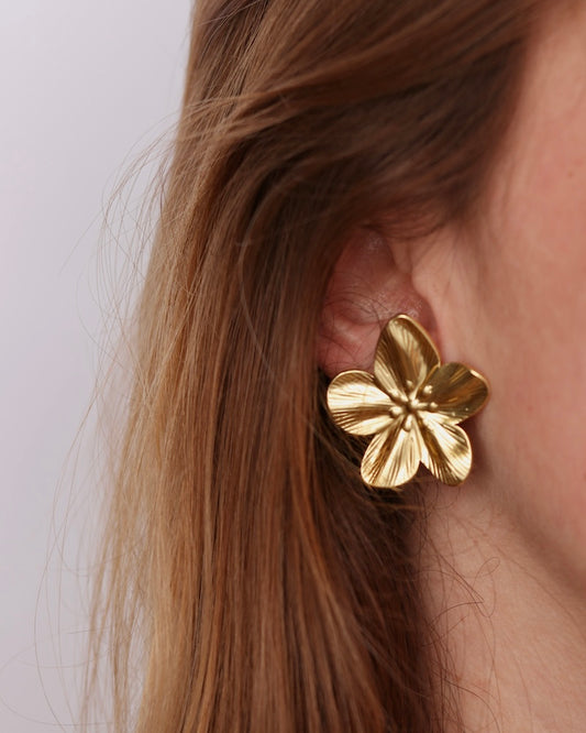 Boucles Edith